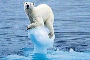La question climatique s’impose entre la Chine et les États-Unis